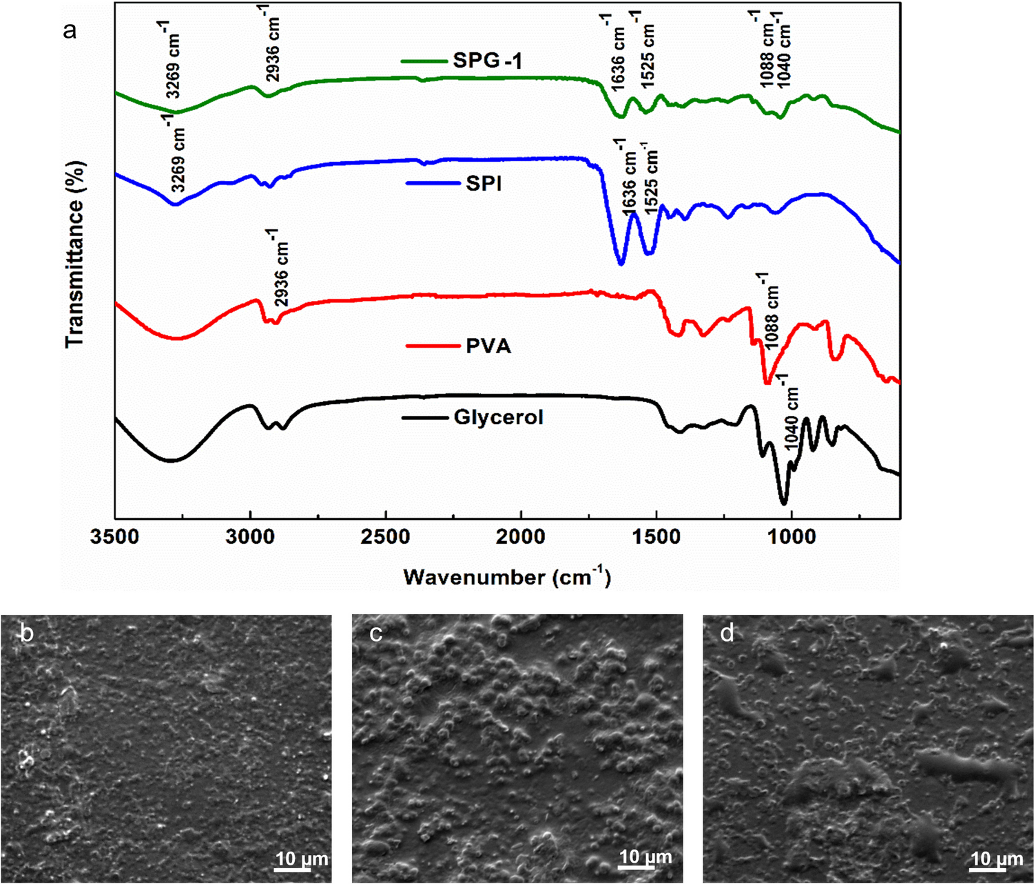 Fabrication and Characterization of Soy Protein/Polyvinyl Alcohol (PVA) Composite Membrane for Guided Tissue Regeneration