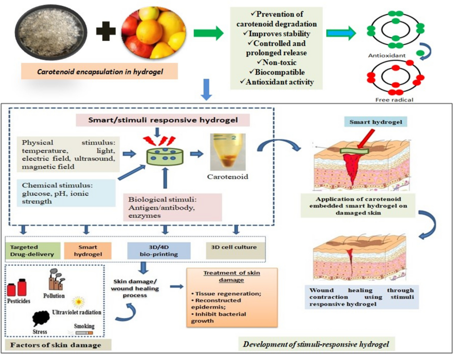 Can Carotenoid Encapsulated Hydrogel Be a Promising Medium for Repairing Skin Damage