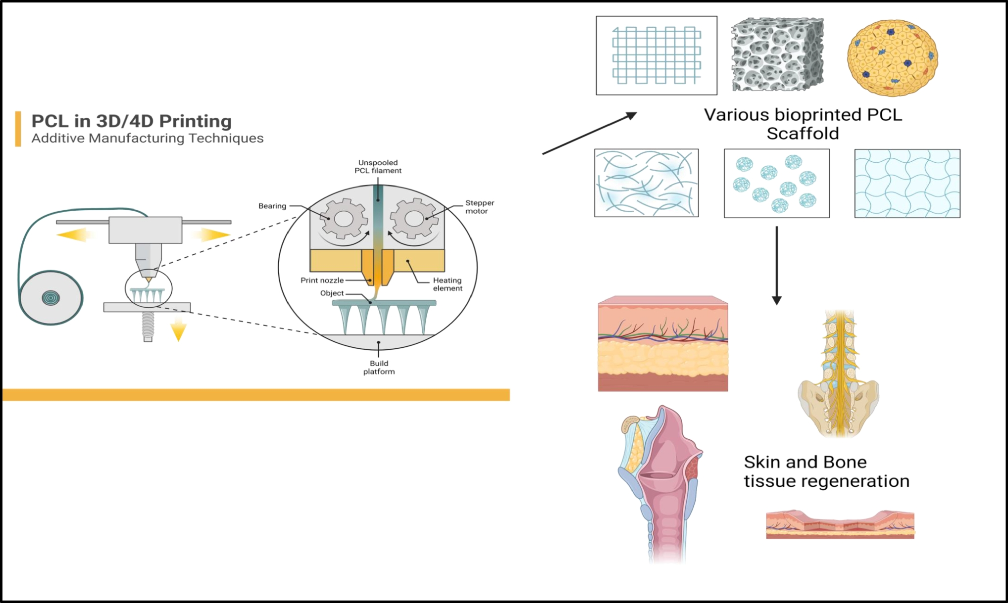 Recent Advances in Additive Manufacturing of Polycaprolactone-Based Scaffolds for Tissue Engineering Applications: A Comprehensive Review