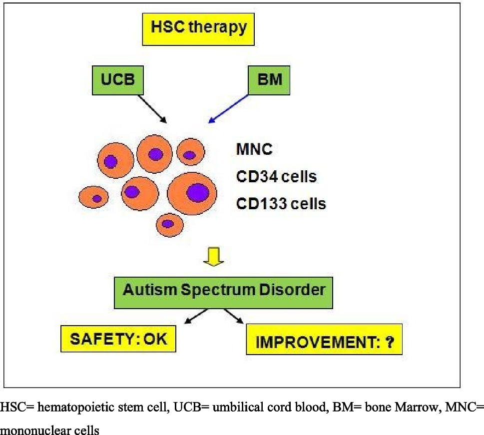 Hematopoietic Stem Cell Therapy in Improving Clinical Outcomes for Children with Autism Spectrum Disorder: A Systematic Review and Meta-Analysis