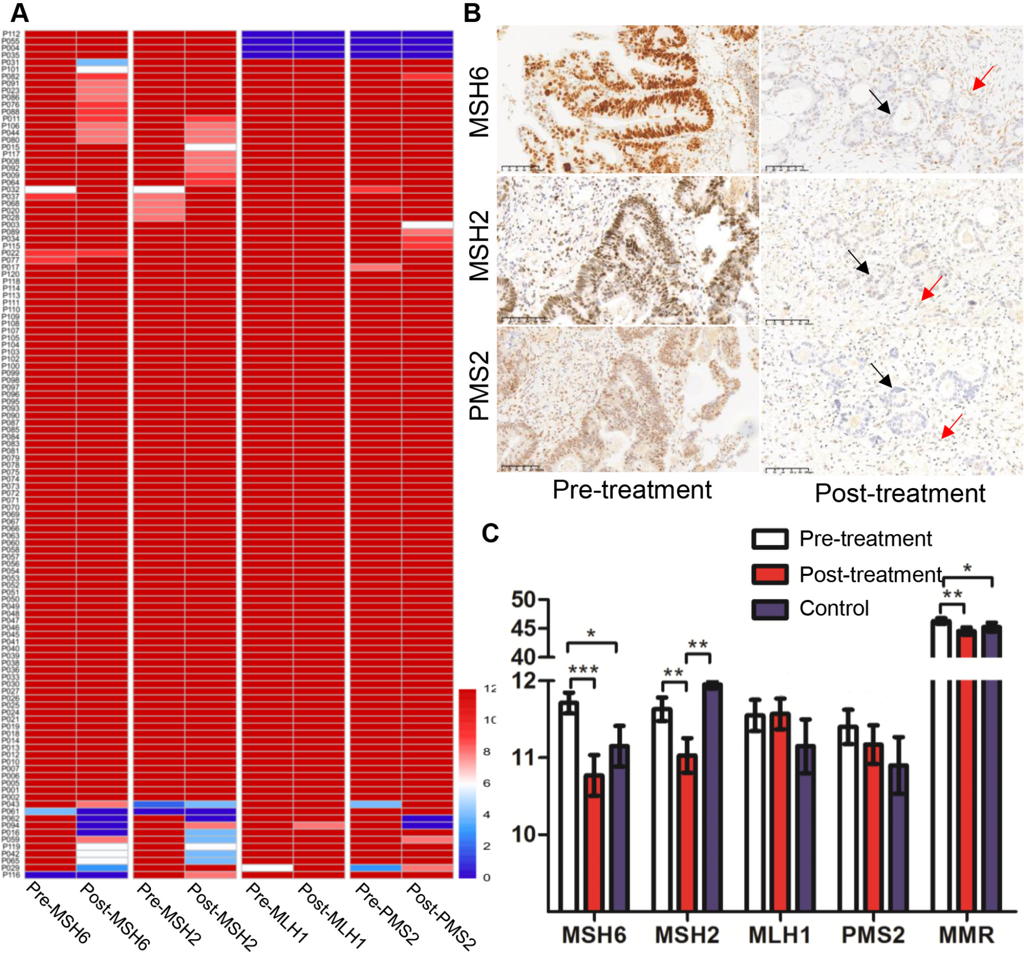 The impact of preoperative treatment on mismatch repair protein and HER2 expression in colorectal cancer: an analysis of paired samples