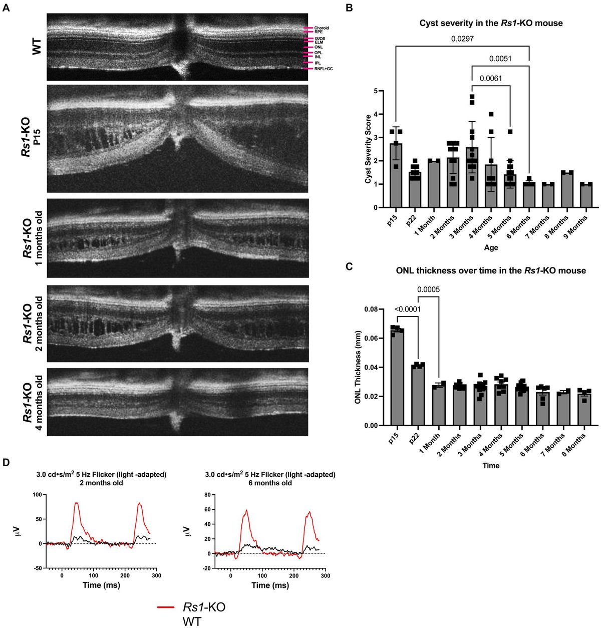 An osmolarity dependent mechanism partially ameliorates retinal cysts and rescues cone function in a mouse model of X-linked retinoschisis