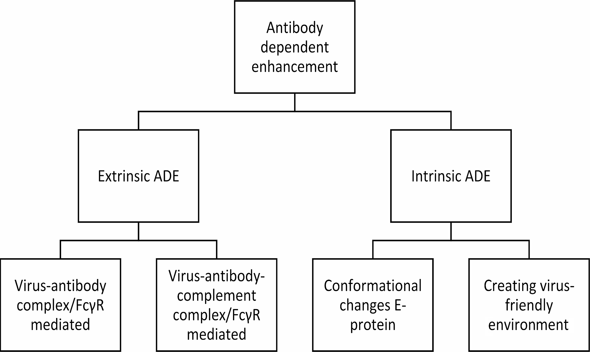 The role of antibody-dependent enhancement in dengue vaccination