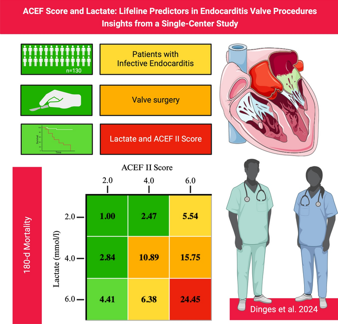 ACEF score and lactate: lifeline predictors in endocarditis valve procedures: insights from a single-center study