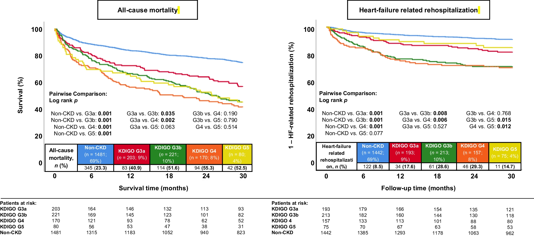 Effect of severity and etiology of chronic kidney disease in patients with heart failure with mildly reduced ejection fraction