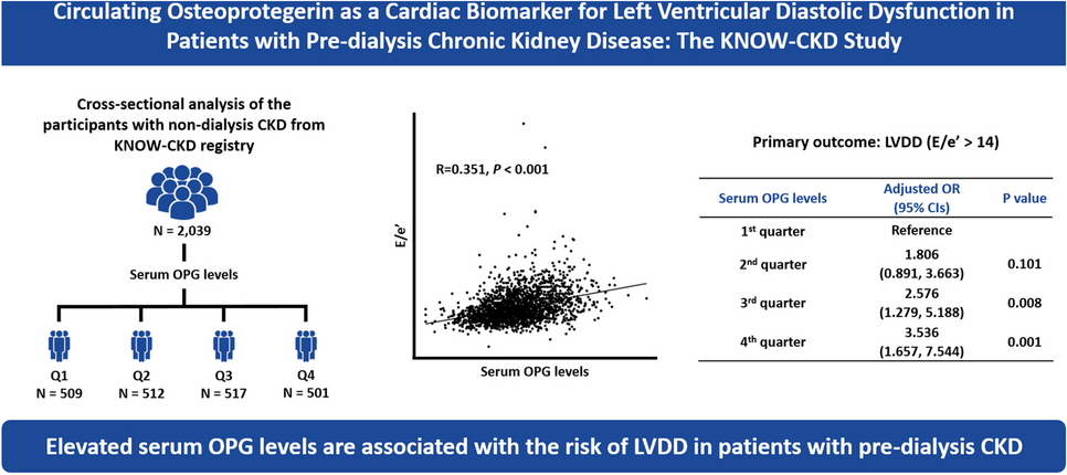 Circulating osteoprotegerin as a cardiac biomarker for left ventricular diastolic dysfunction in patients with pre-dialysis chronic kidney disease: the KNOW-CKD study