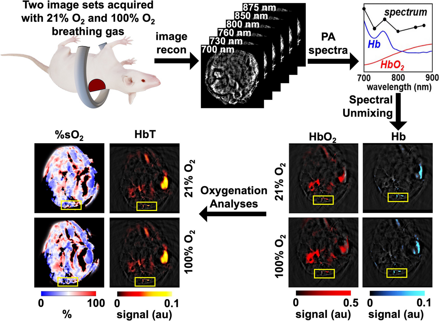 Evaluations of a Cutaneous Wound Healing Model Using Oxygen Enhanced – Dynamic Contrast Enhanced Photoacoustic Imaging (OE-DCE PAI)