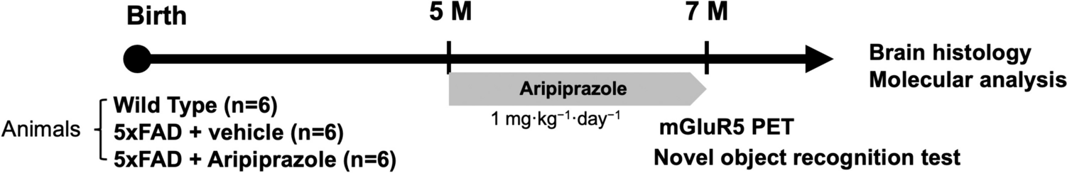 Administration of Aripiprazole Alleviates Memory Impairment and Restores Damaged Glutamatergic System in 5xFAD Mice