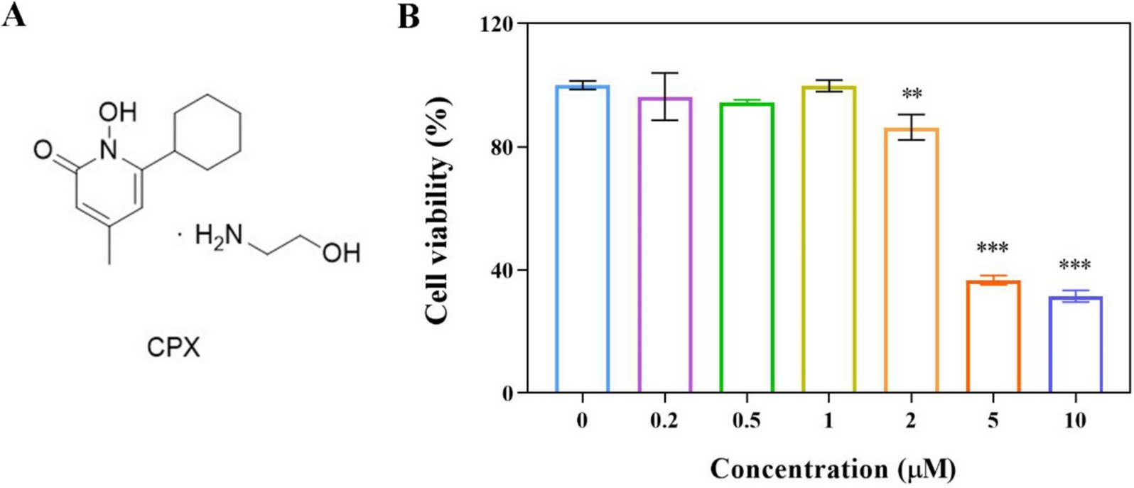 Neuroprotective effect of ciclopirox olamine in retinal ischemia/reperfusion injury