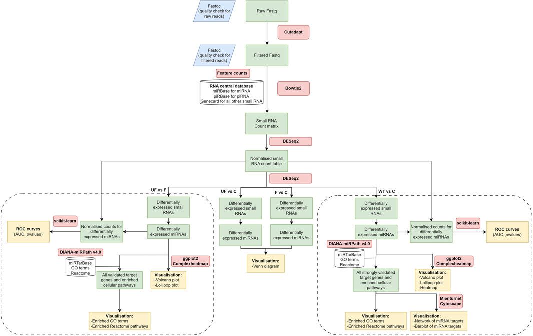 Profiling of the serum MiRNAome in pediatric egyptian patients with wilms tumor