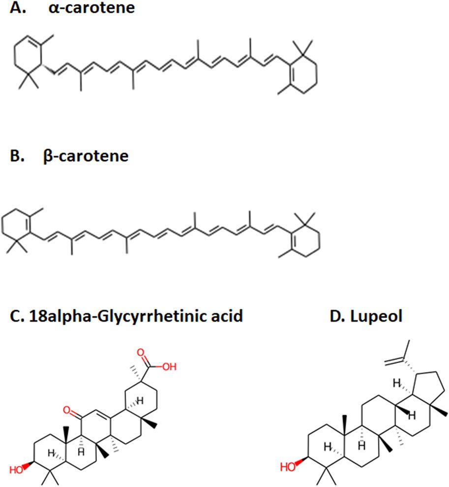 Exploration of phytoconstituents of Medhya Rasayana herbs to identify potential inhibitors for cerebroside sulfotransferase through high-throughput screening