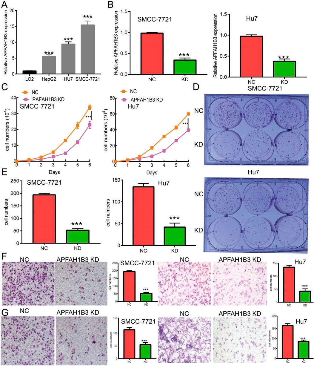 Corrigendum: Comprehensive analysis of the prognostic and immunological role of PAFAH1B in pan-cancer