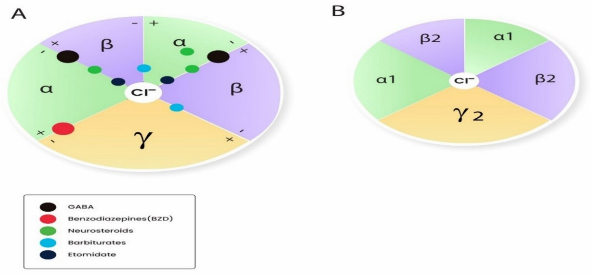 The Role of GABA Receptors in Anesthesia and Sedation: An Updated Review