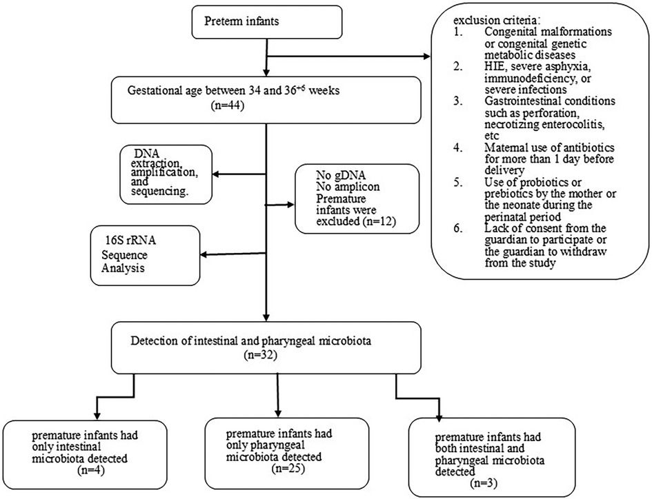 Comparison of intestinal and pharyngeal microbiota in preterm infants on the first day of life and the characteristics of pharyngeal microbiota in infants delivered by cesarean section or vaginally