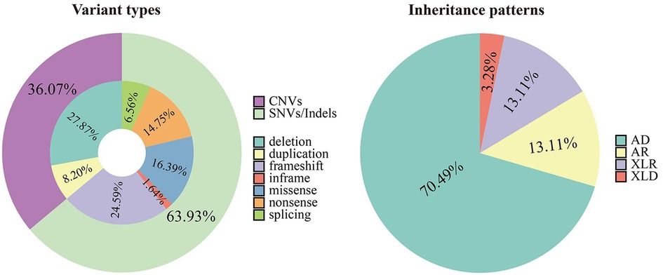 The application of whole-exome sequencing in the early diagnosis of rare genetic diseases in children: a study from Southeastern China