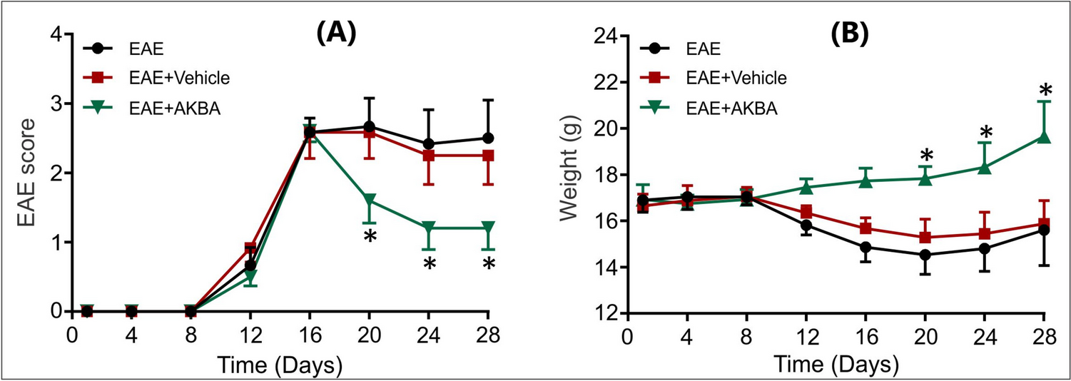 Acetyl 11-Keto Beta-Boswellic Acid Improves Neurological Functions in a Mouse Model of Multiple Sclerosis