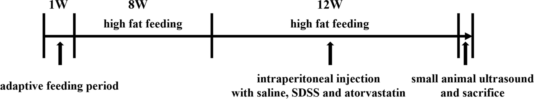 Sodium Danshensu Inhibits Macrophage Inflammation in Atherosclerosis via the miR-200a-3p/MEKK3/NF-κB Signaling Pathway