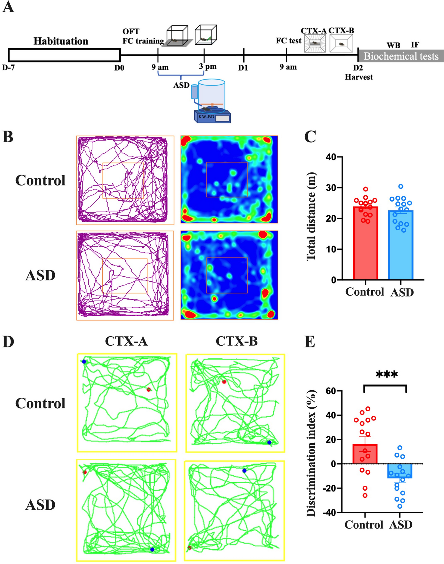 Oxidative Stress-mediated Loss of Hippocampal Parvalbumin Interneurons Contributes to Memory Precision Decline After Acute Sleep Deprivation