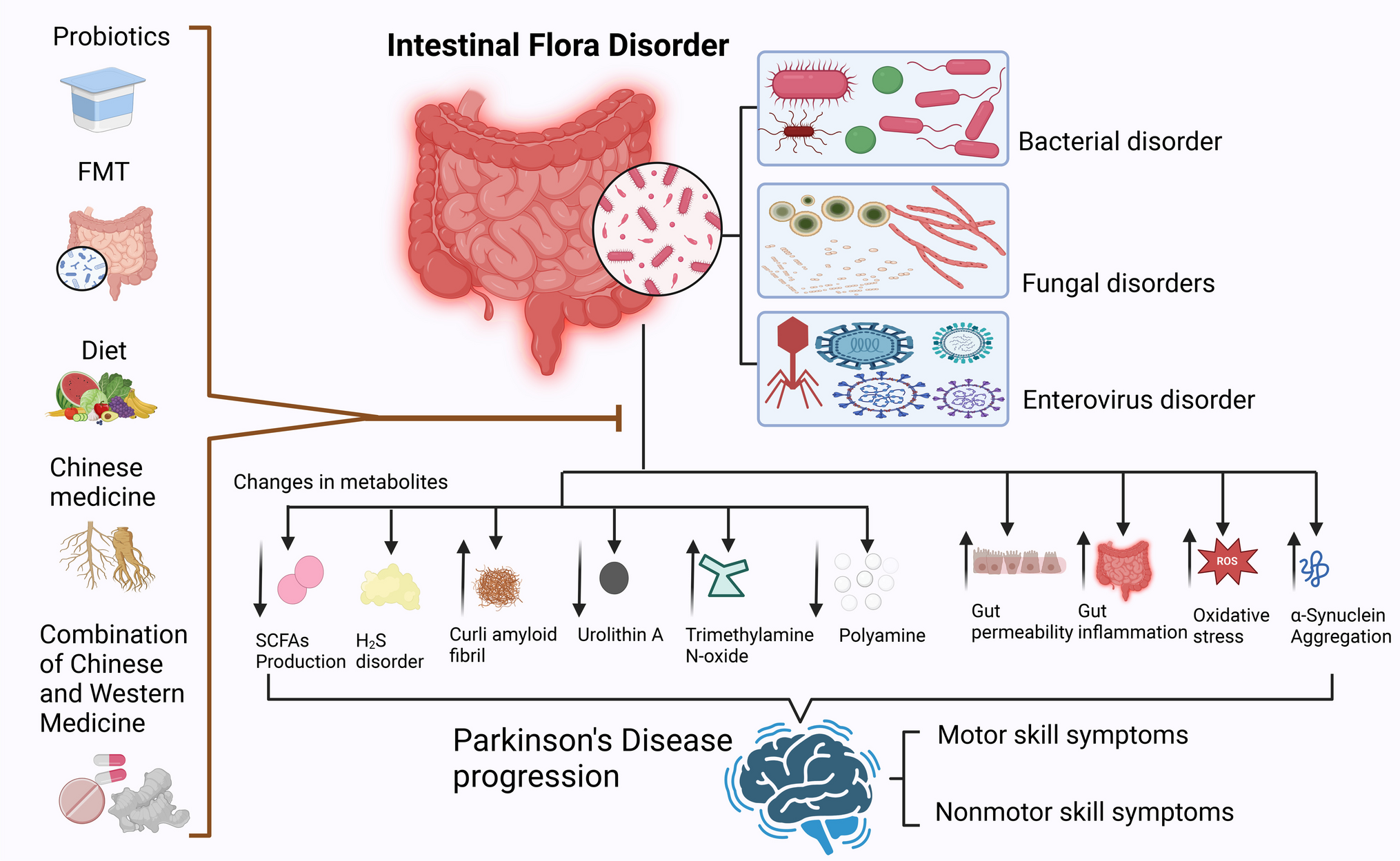 Parkinson's Disease and the Microbiota-Gut-Brain Axis: Metabolites, Mechanisms, and Innovative Therapeutic Strategies Targeting the Gut Microbiota