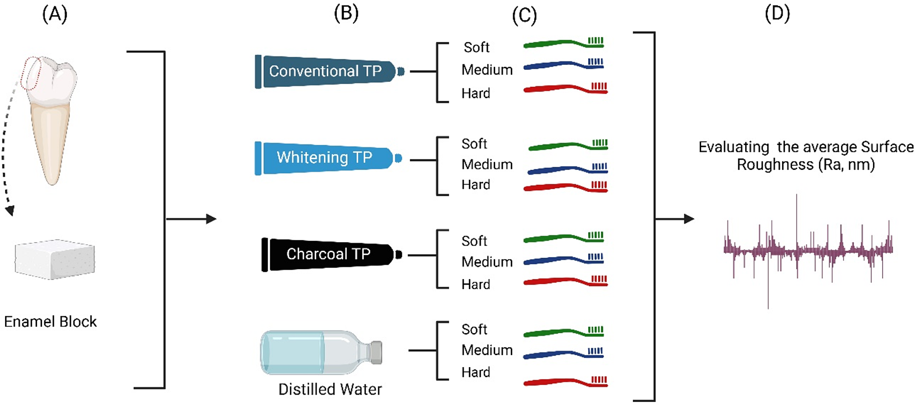 The interplay between toothbrush stiffness and charcoal-containing dentifrice on the development of enamel topography changes