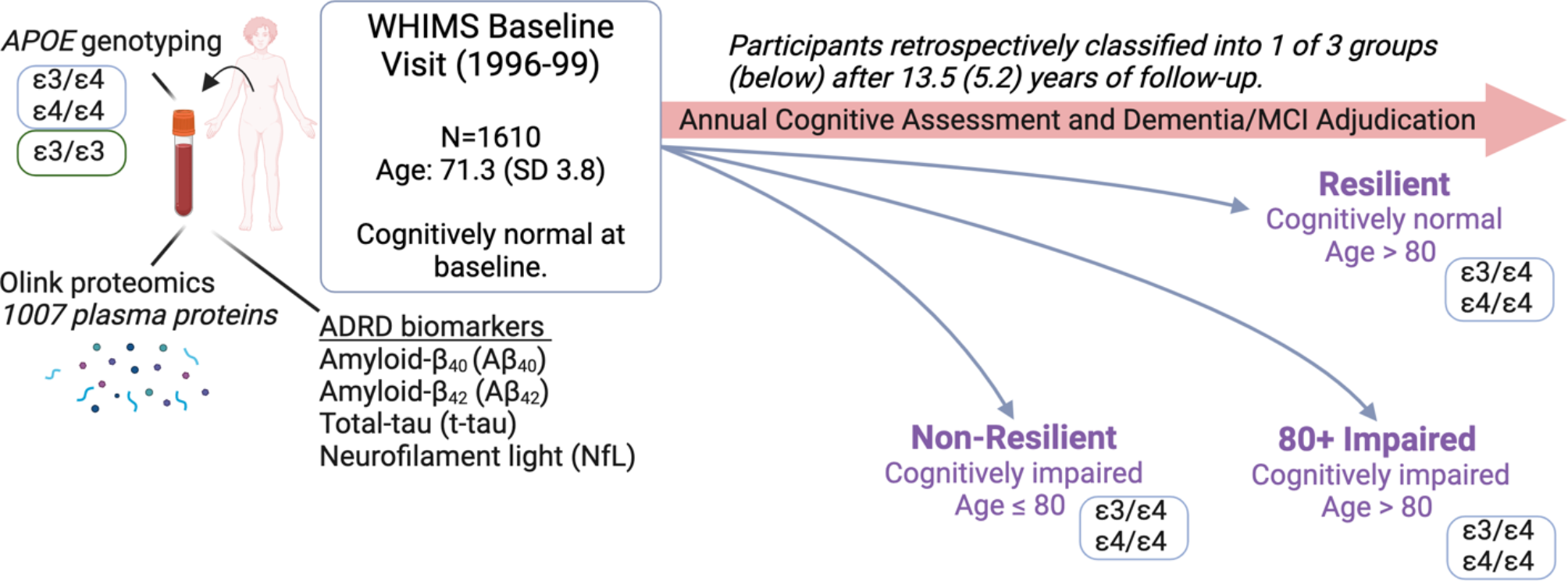 Proteomic analysis of APOEε4 carriers implicates lipid metabolism, complement and lymphocyte signaling in cognitive resilience