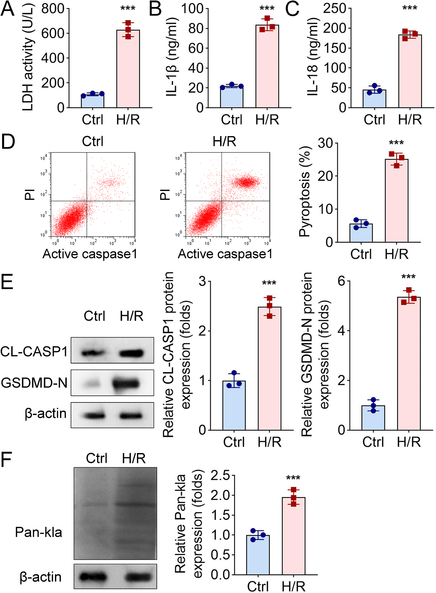 LDHA exacerbates myocardial ischemia-reperfusion injury through inducing NLRP3 lactylation