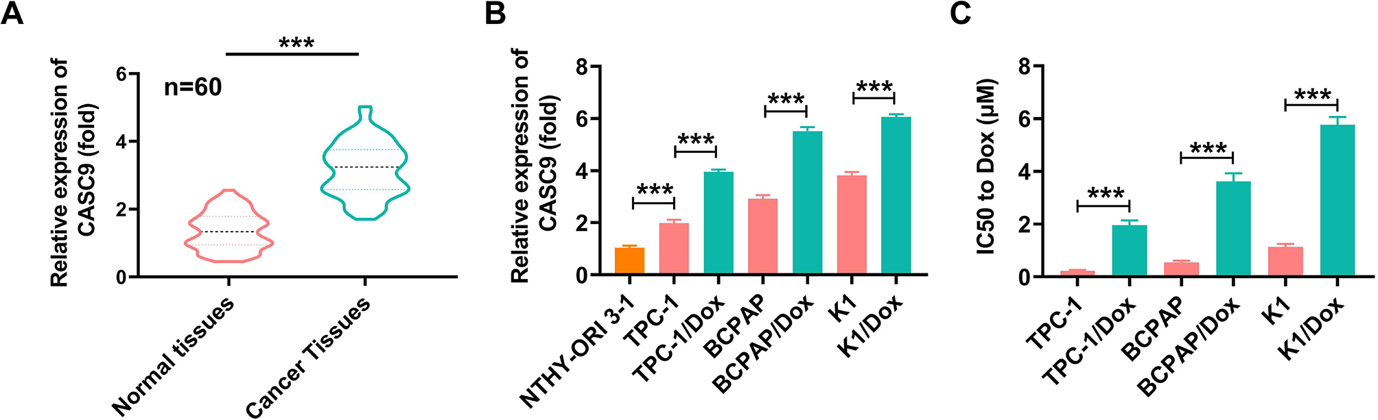 LncRNA CASC9 facilitates papillary thyroid cancer development and doxorubicin resistance via miR-28-3p/BCL-2 axis and PI3K/AKT signaling pathway