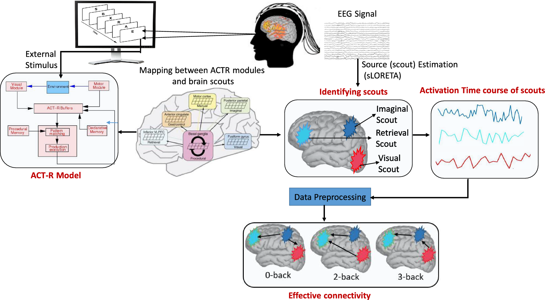 Cortex level connectivity between ACT-R modules during EEG-based n-back task