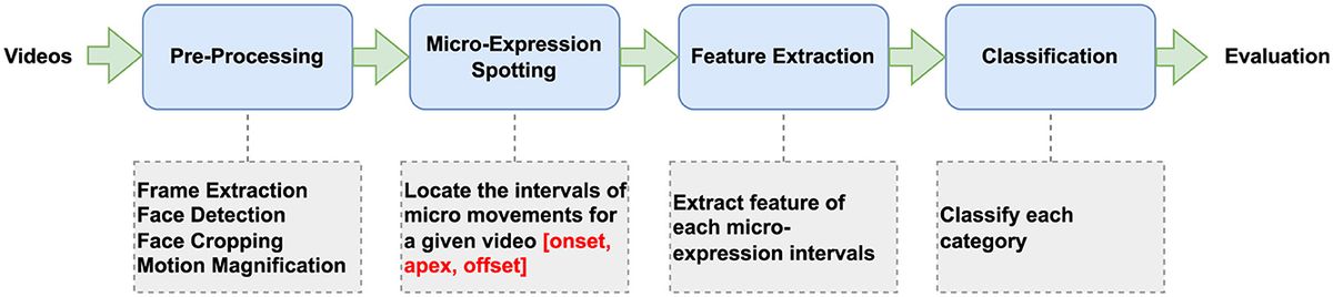 Can micro-expressions be used as a biomarker for autism spectrum disorder?