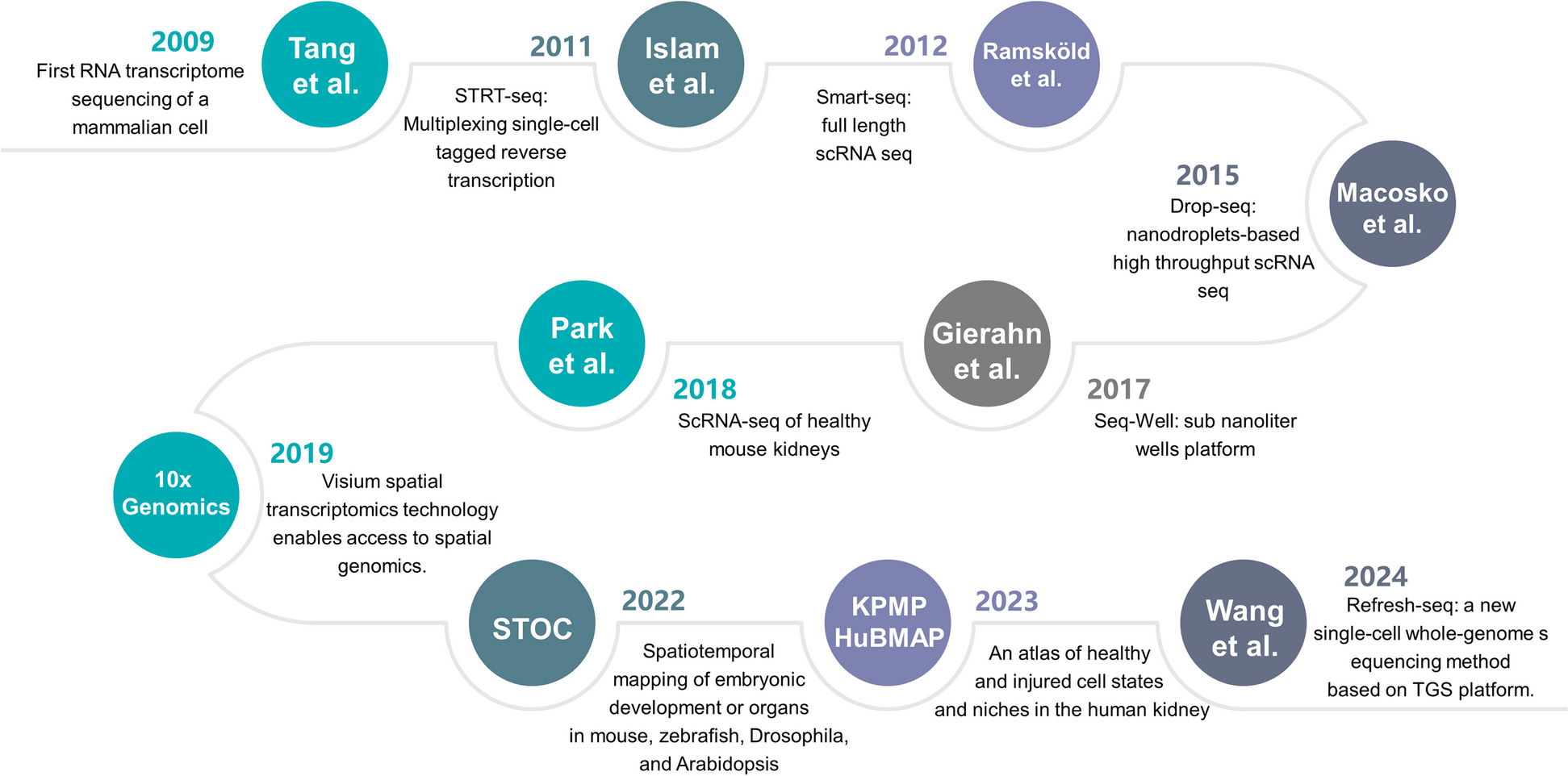 The advance of single cell transcriptome to study kidney immune cells in diabetic kidney disease