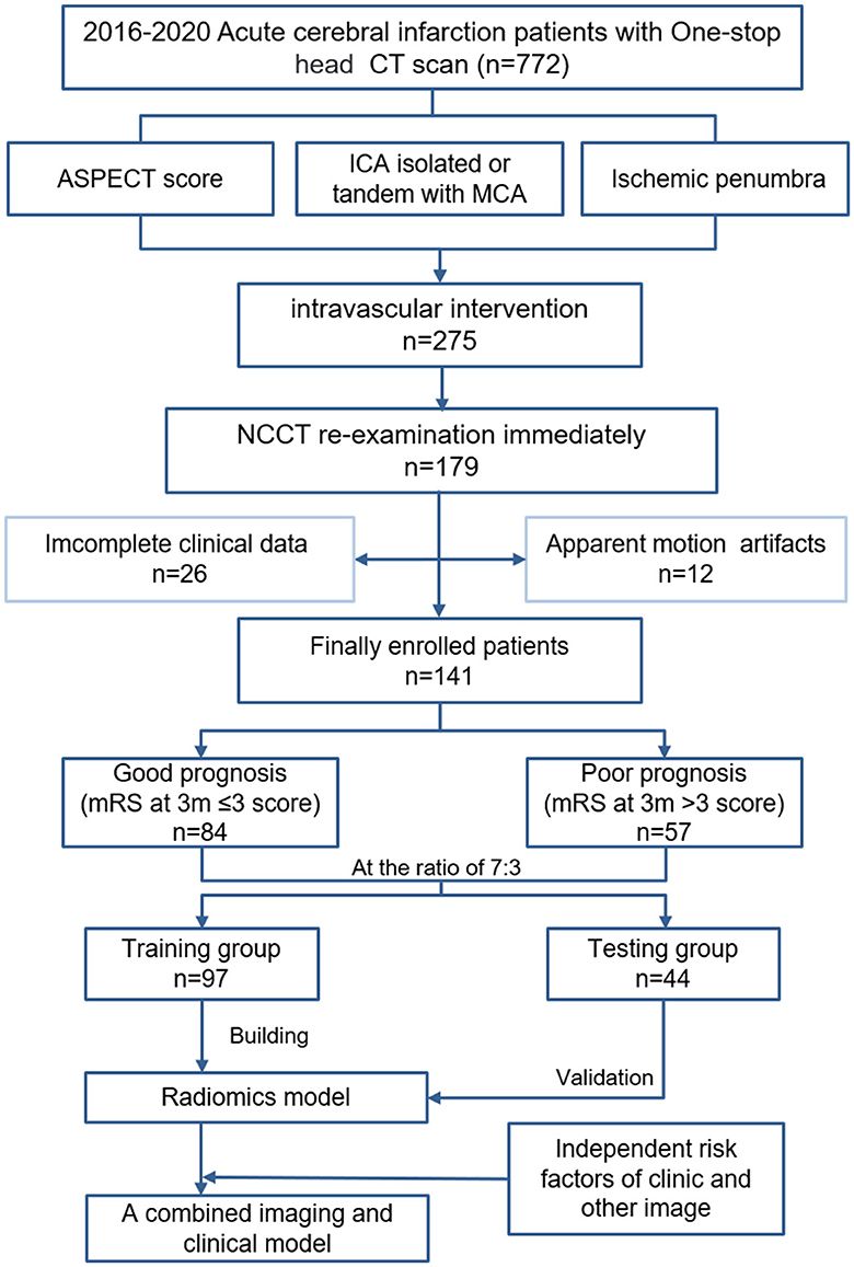 Predicting the clinical prognosis of acute ischemic stroke using machine learning: an application of radiomic biomarkers on non-contrast CT after intravascular interventional treatment