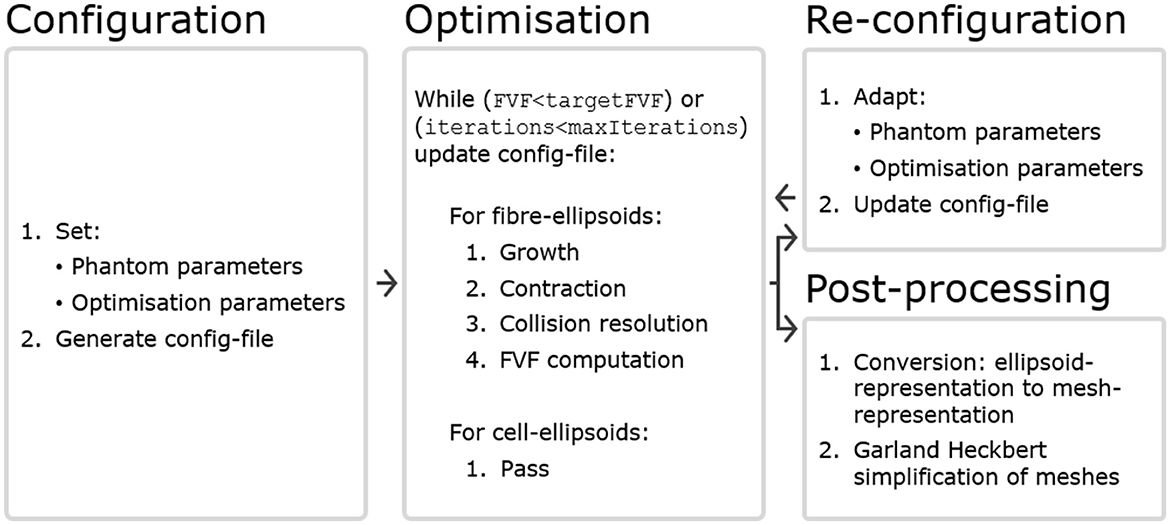 Exploring white matter dynamics and morphology through interactive numerical phantoms: the White Matter Generator