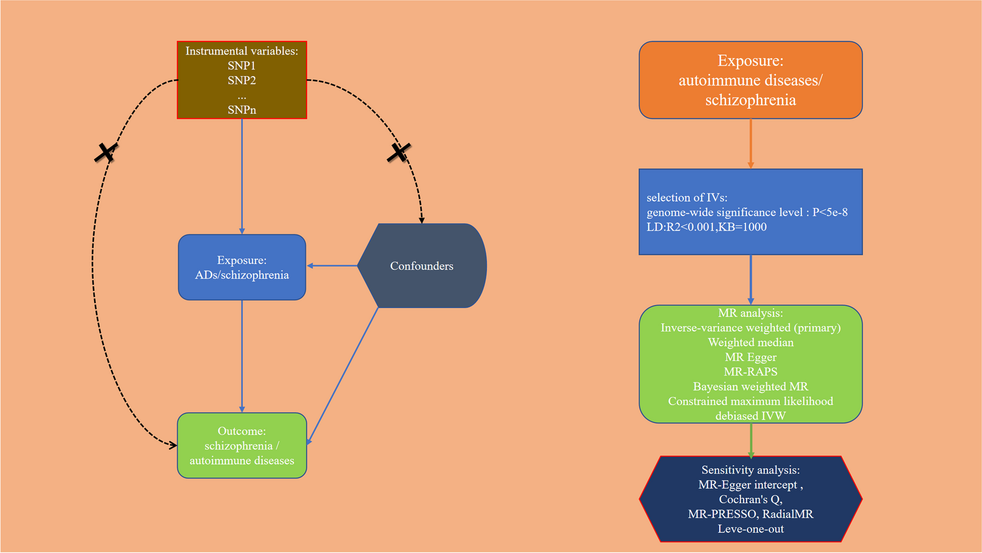 Causality between autoimmune diseases and schizophrenia: a bidirectional Mendelian randomization study