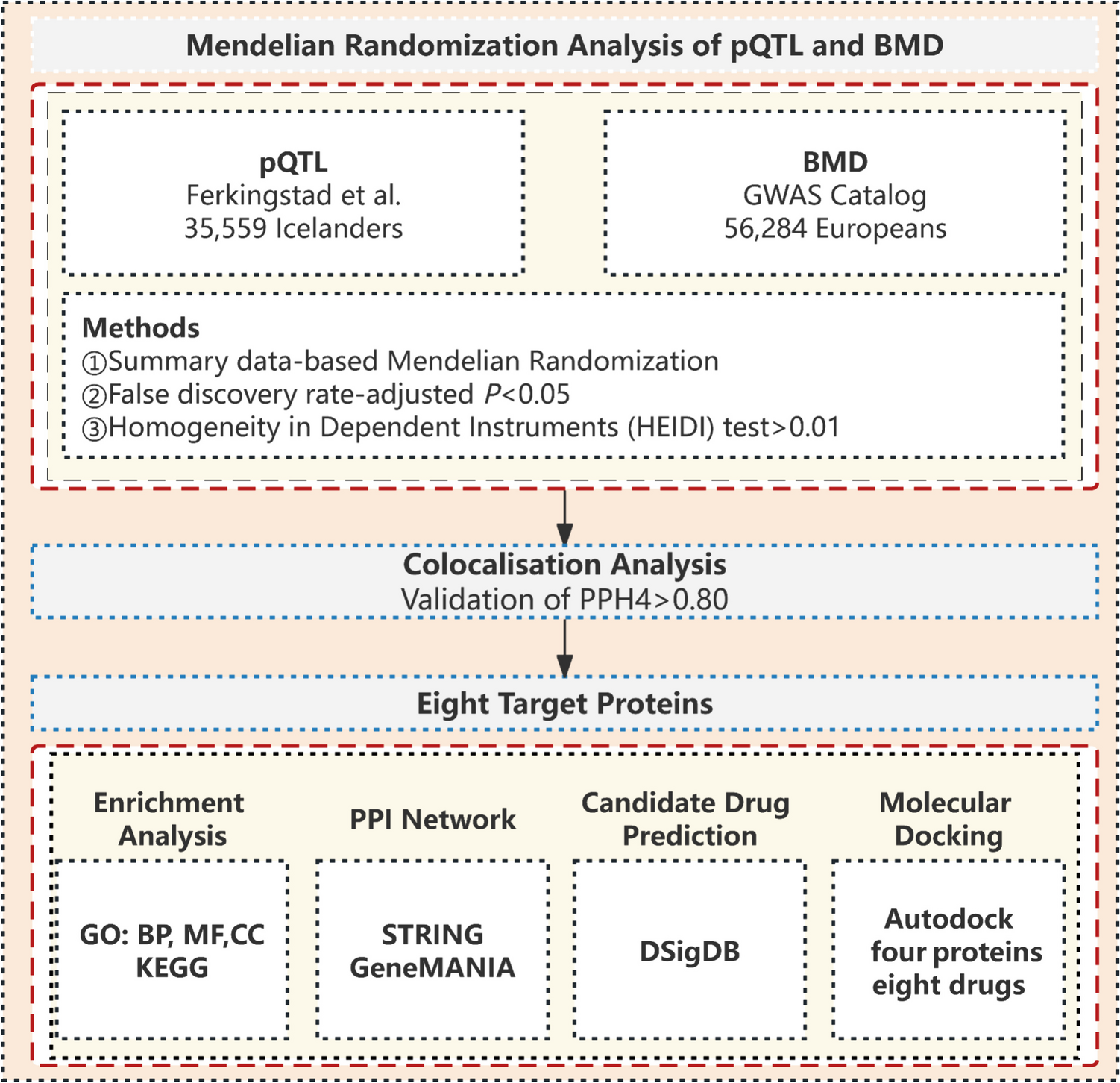 Assessing the causal relationship between plasma proteins and osteoporosis: novel insights into pathological mechanisms and therapeutic implications