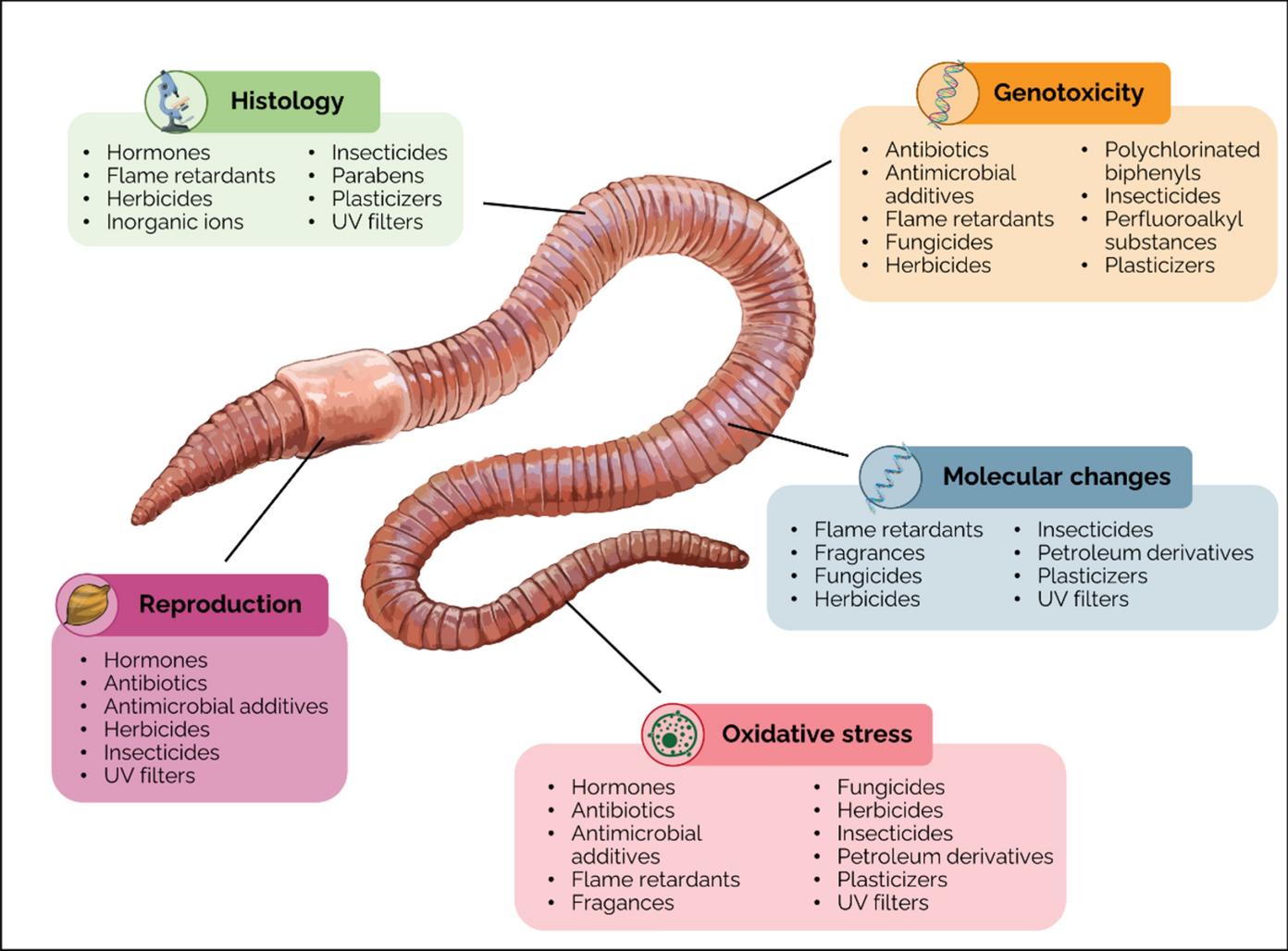 Do endocrine disrupting compounds impact earthworms? A comprehensive evidence review