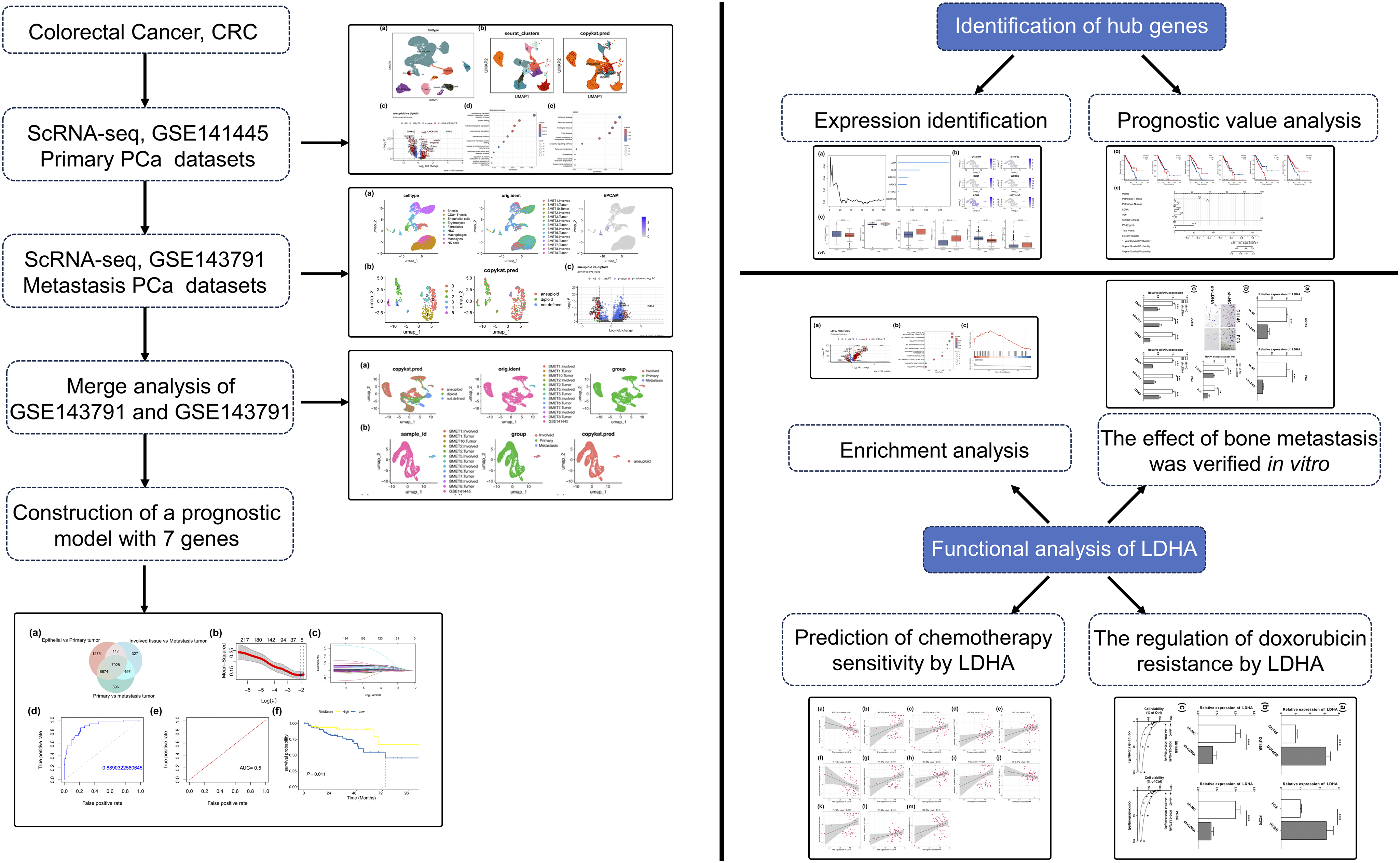 Integrated analysis of single-cell RNA-seq and bulk RNA-seq revealed key genes for bone metastasis and chemoresistance in prostate cancer