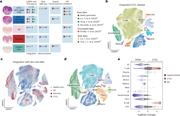 Cutaneous T cell lymphoma atlas reveals malignant TH2 cells supported by a B cell-rich tumor microenvironment