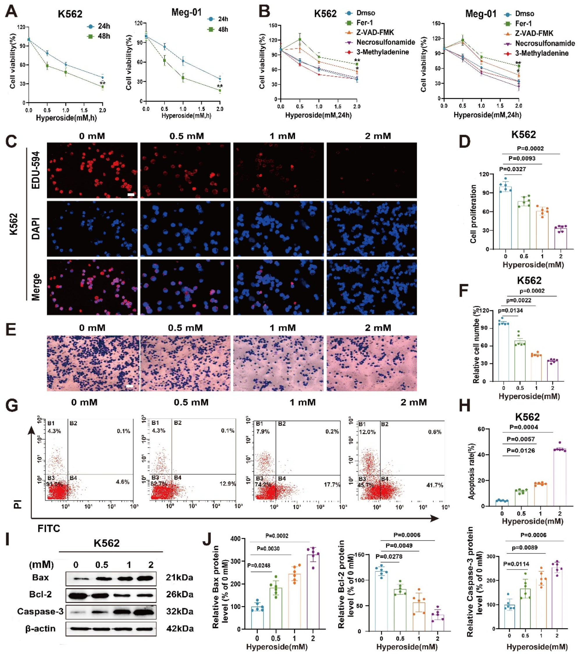 Hyperoside induces ferroptosis in chronic myeloid leukemia cells by targeting NRF2