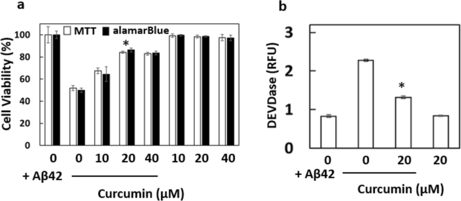 Novel role of curcumin as inhibitor of β-amyloid-induced lamin fragmentation