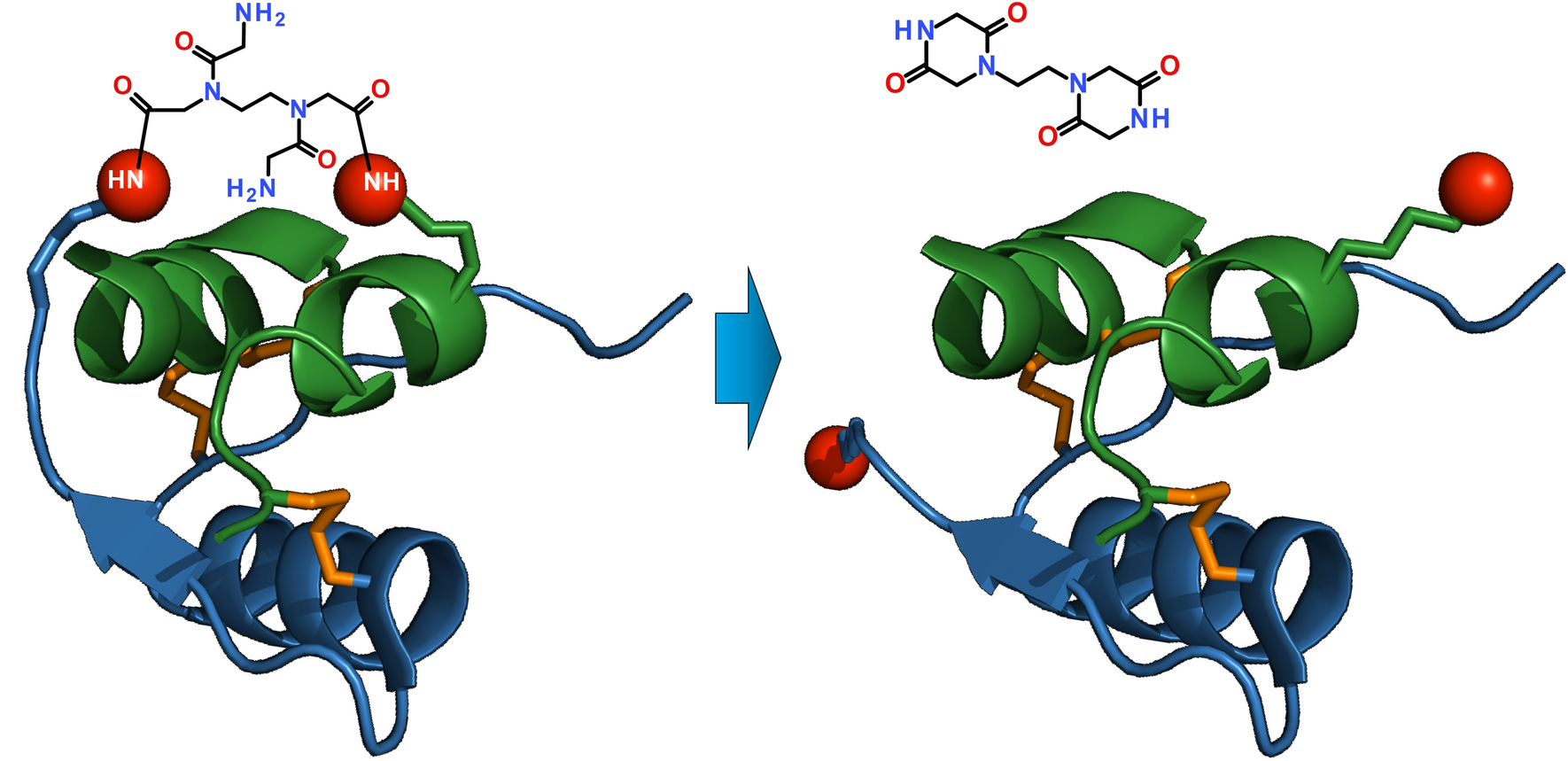 Insulin Prodrugs with Programmed Chemical Release of an Intramolecular Cross-Link