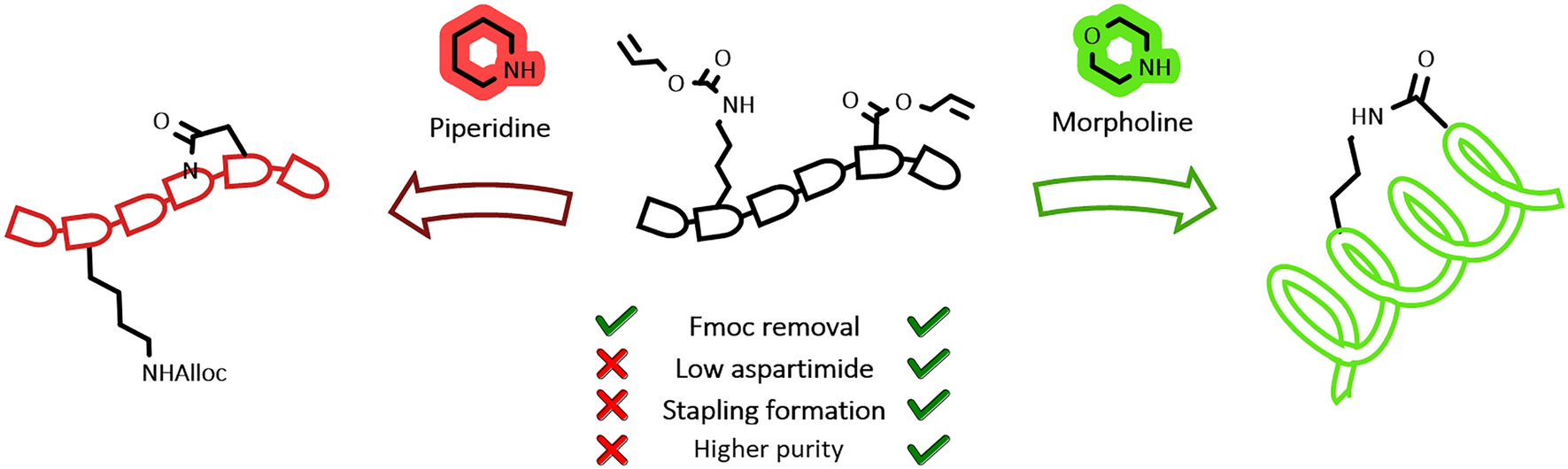 Morpholine Prevents the Formation of Aspartimide from β-allyl ester aspartic acid during Fmoc Cleavage in SPPS of Stapled Peptides