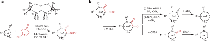 Cyclic amine ring expansion