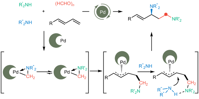 Dynamic amine sorting enables multiselective construction of unsymmetrical chiral diamines