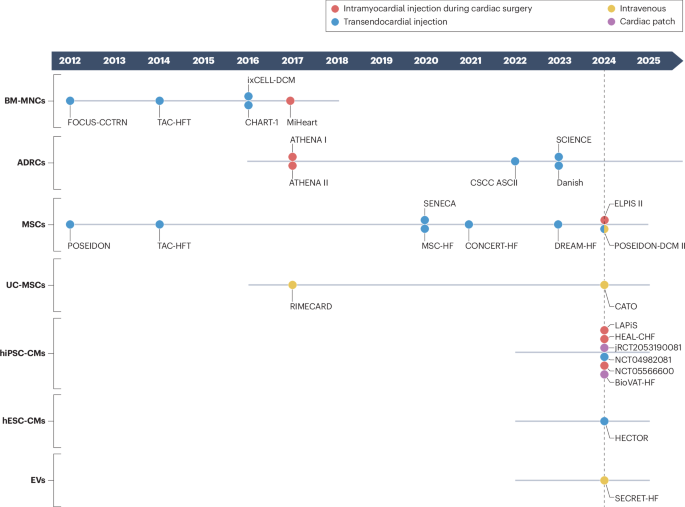 Trials and tribulations of cell therapy for heart failure: an update on ongoing trials