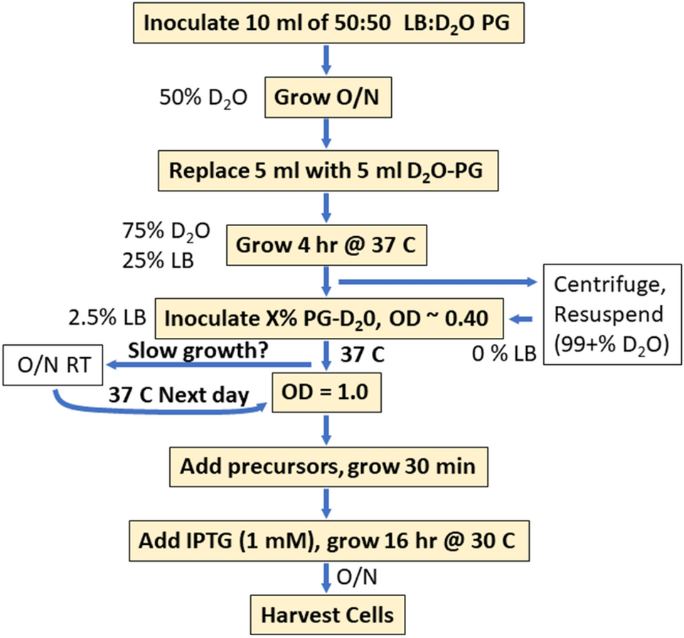 Labeling of methyl groups: a streamlined protocol and guidance for the selection of 2H precursors based on molecular weight