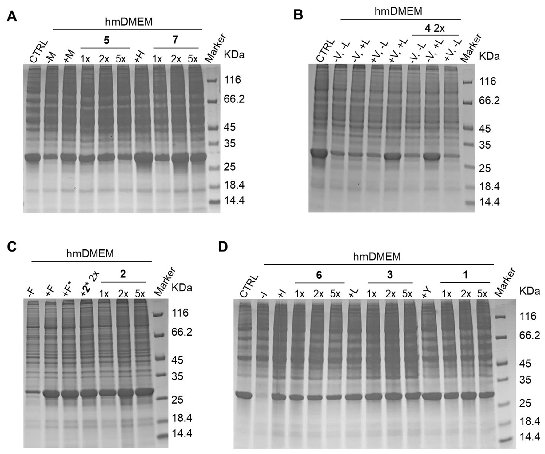 Towards cost-effective side-chain isotope labelling of proteins expressed in human cells