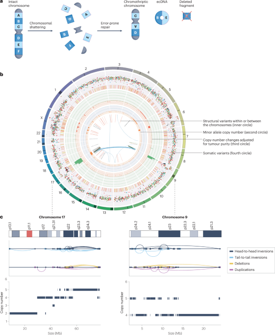 Chromothripsis in cancer