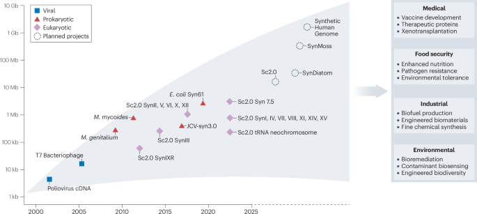 The design and engineering of synthetic genomes