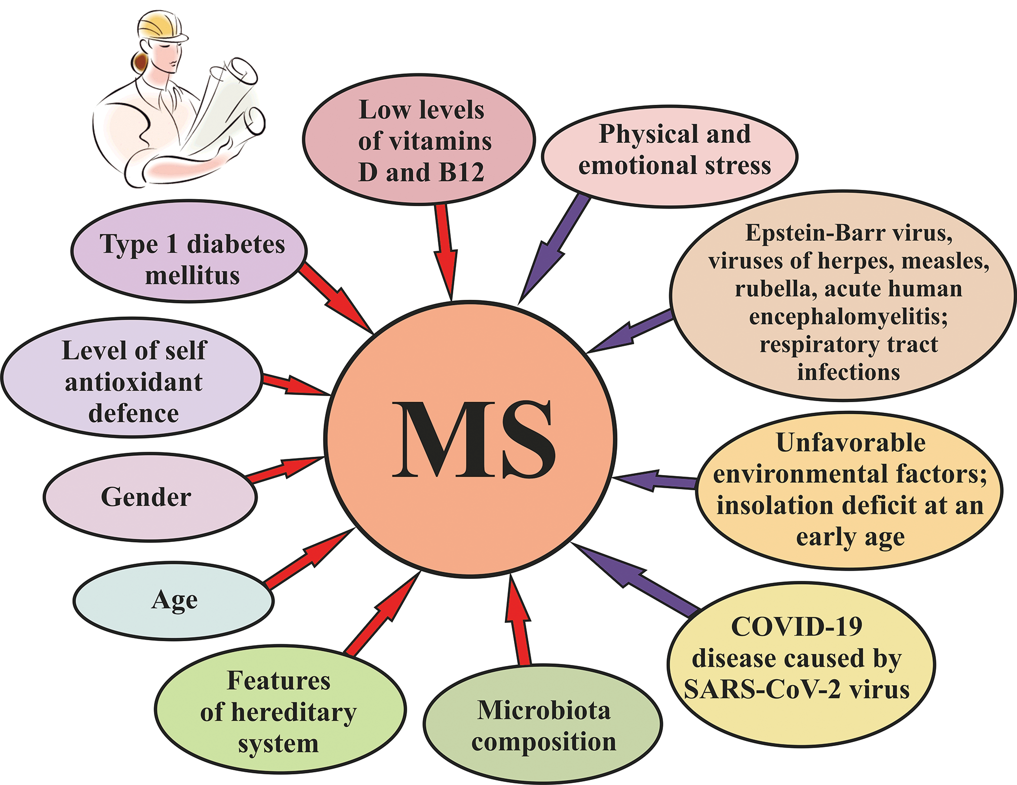 Multiple Sclerosis. Some Features of Pathology and Prospects for Therapy. Part 1