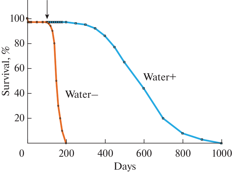 Should We Consider Water and Antibiotics to Be Geroprotectors?